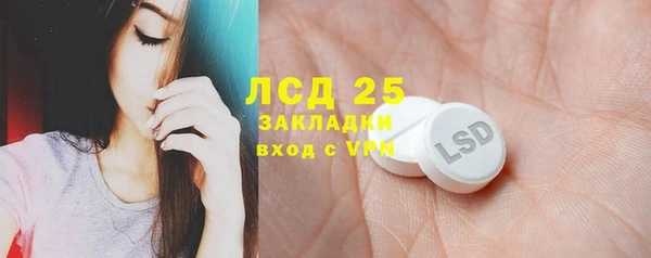стаф Аркадак
