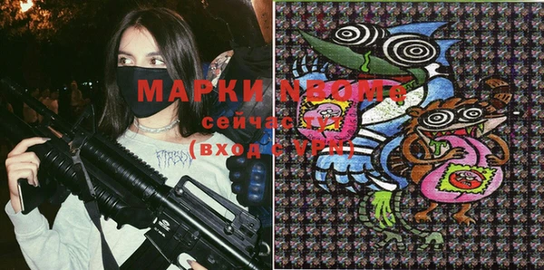 стаф Аркадак