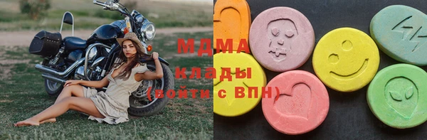 стаф Аркадак
