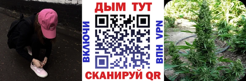 mega ONION  площадка состав  Конопля сатива  где продают   Магадан 
